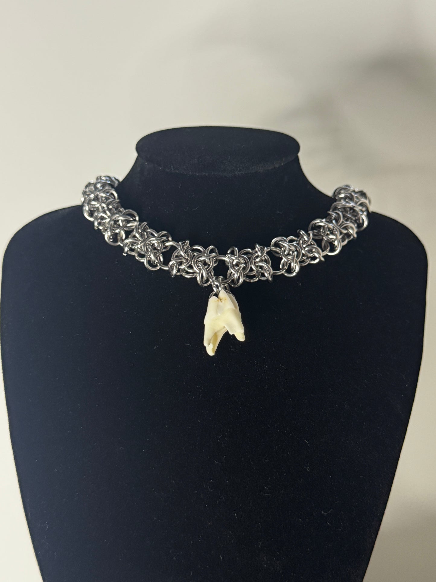 Roe Doe Tooth choker