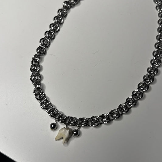 Roe Deer Tooth Necklace
