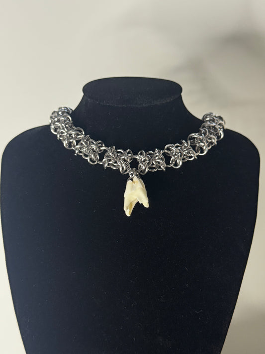 Roe Doe Tooth choker