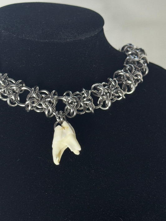 Roe Doe Tooth choker