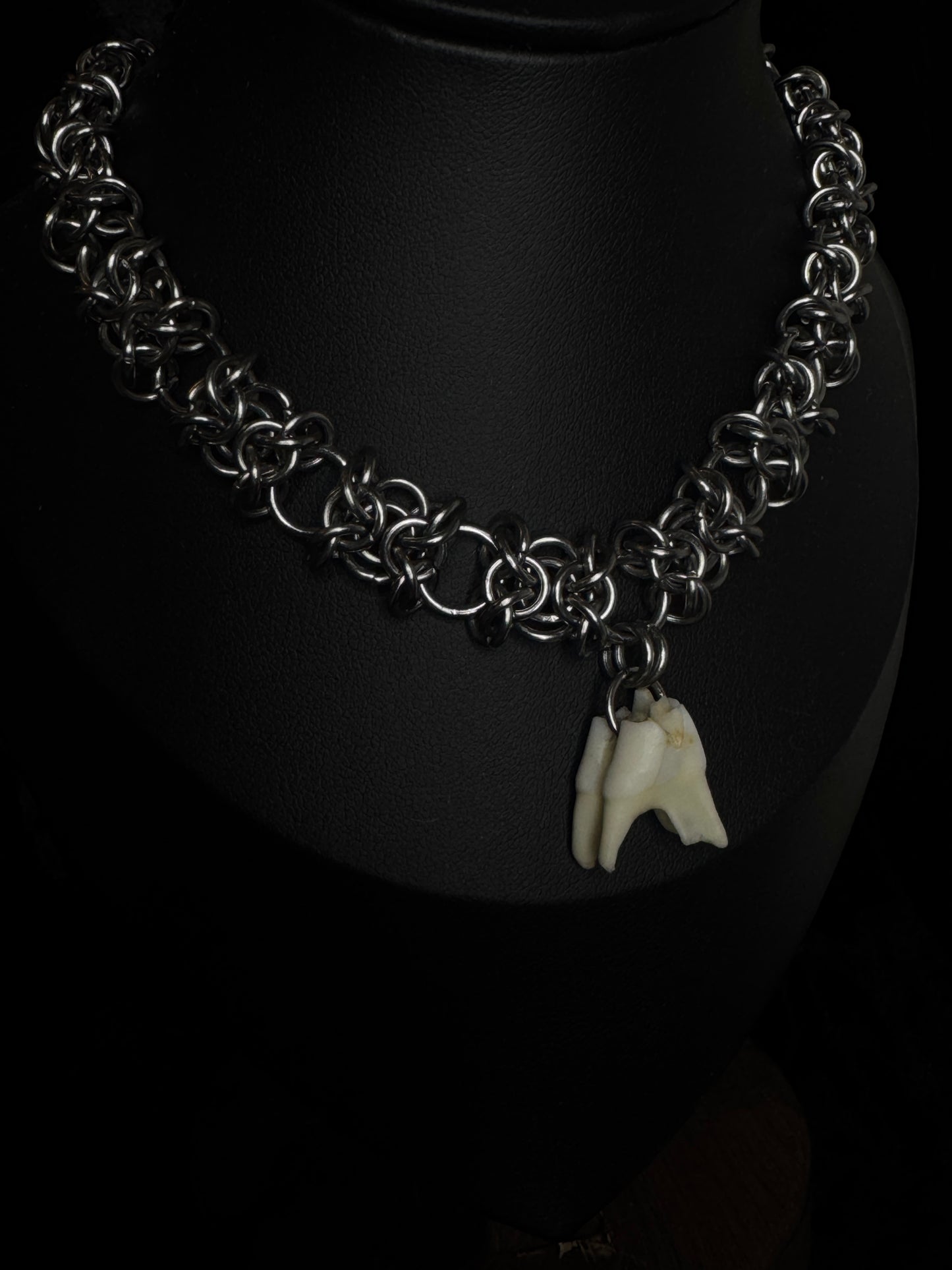 Deer tooth choker necklace