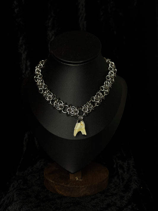 Deer tooth choker necklace