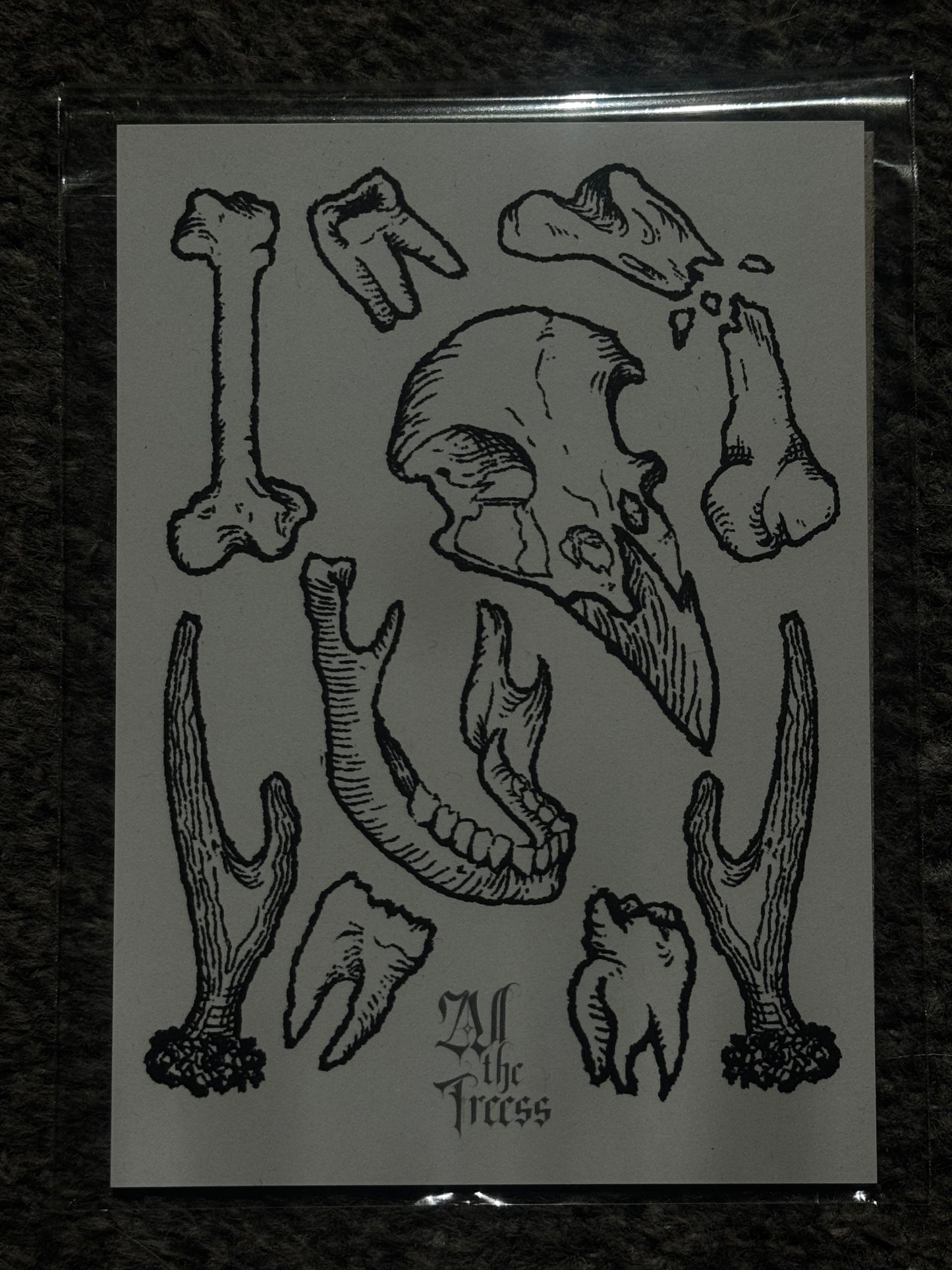A6 prints